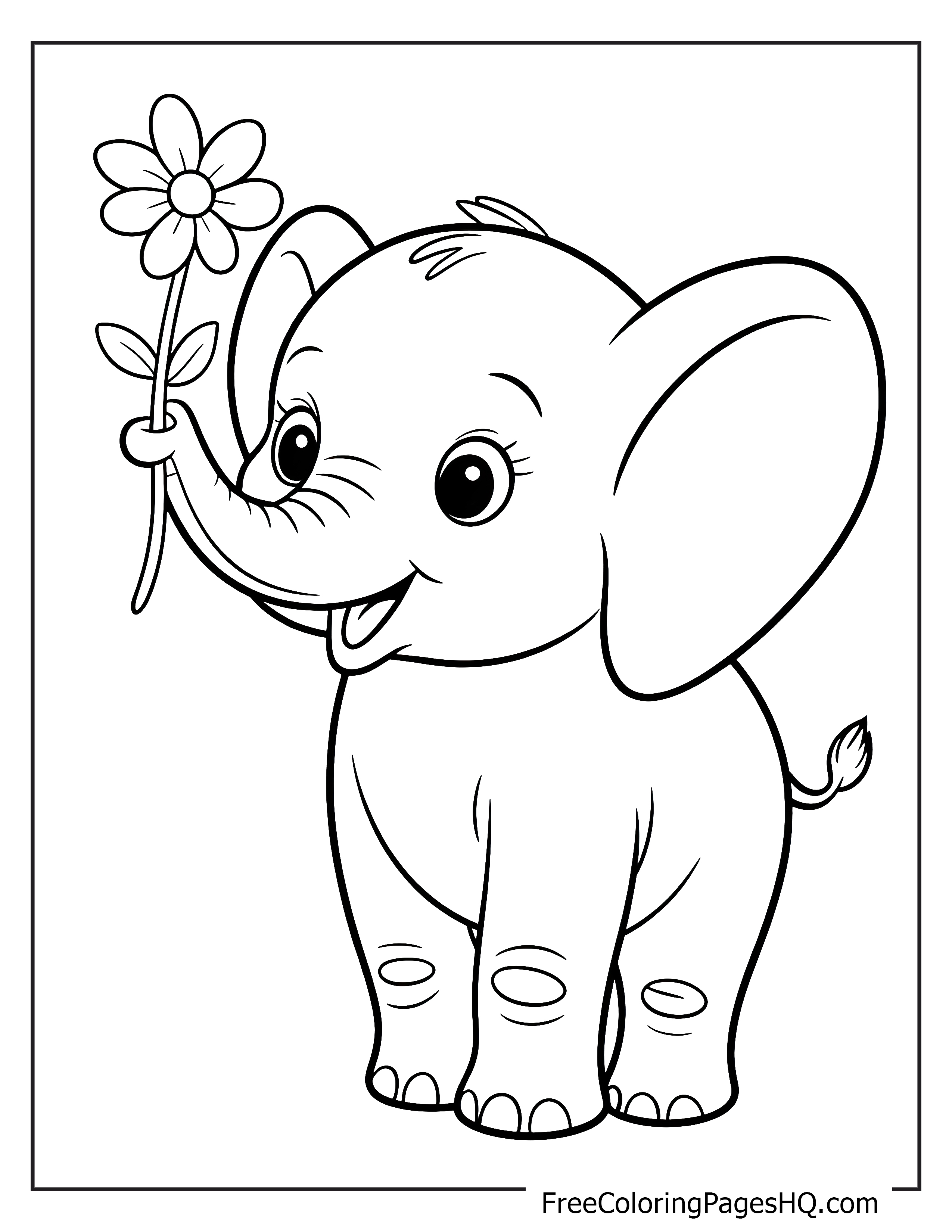 Happy elephant holding a flower in its trunk.