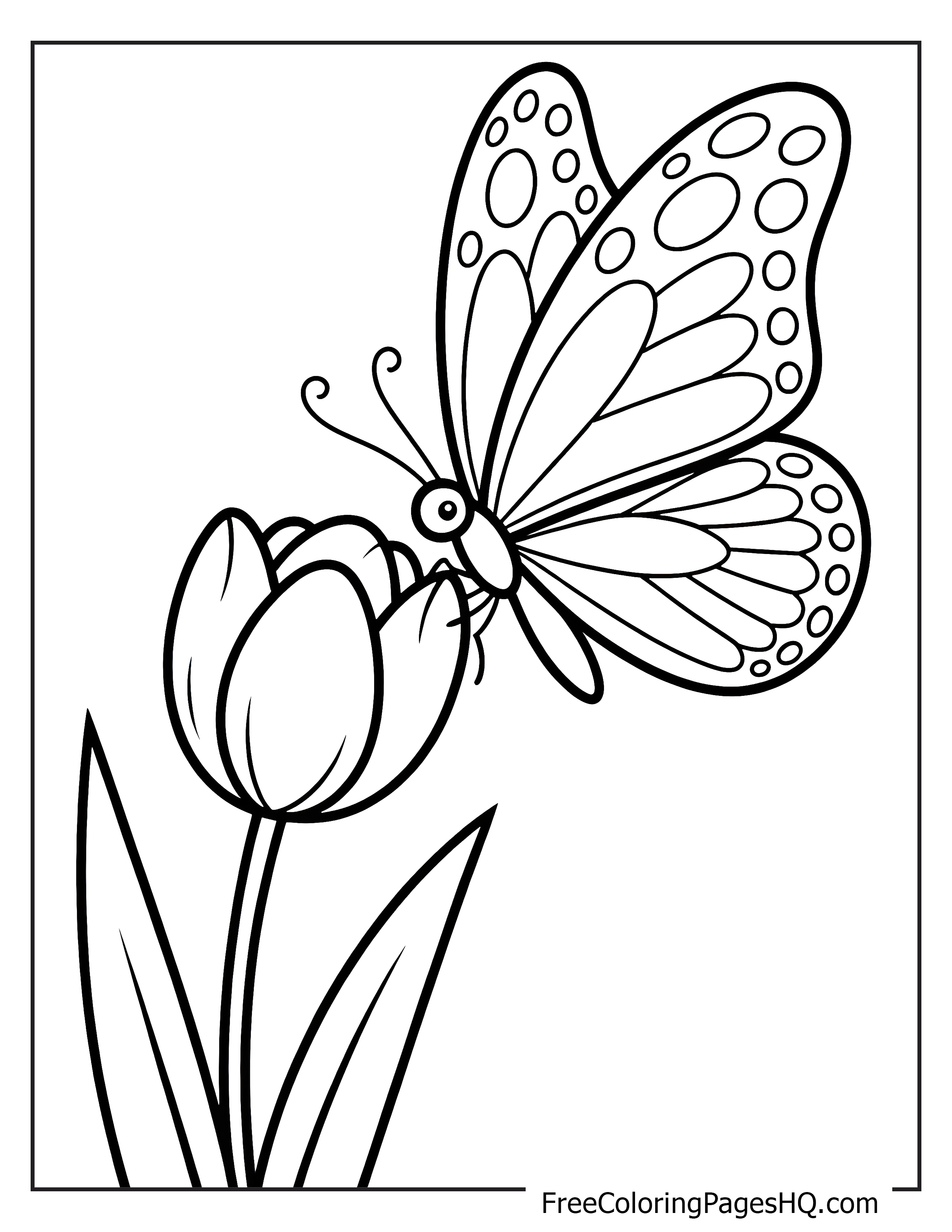 Butterfly perched on a tulip illustration.