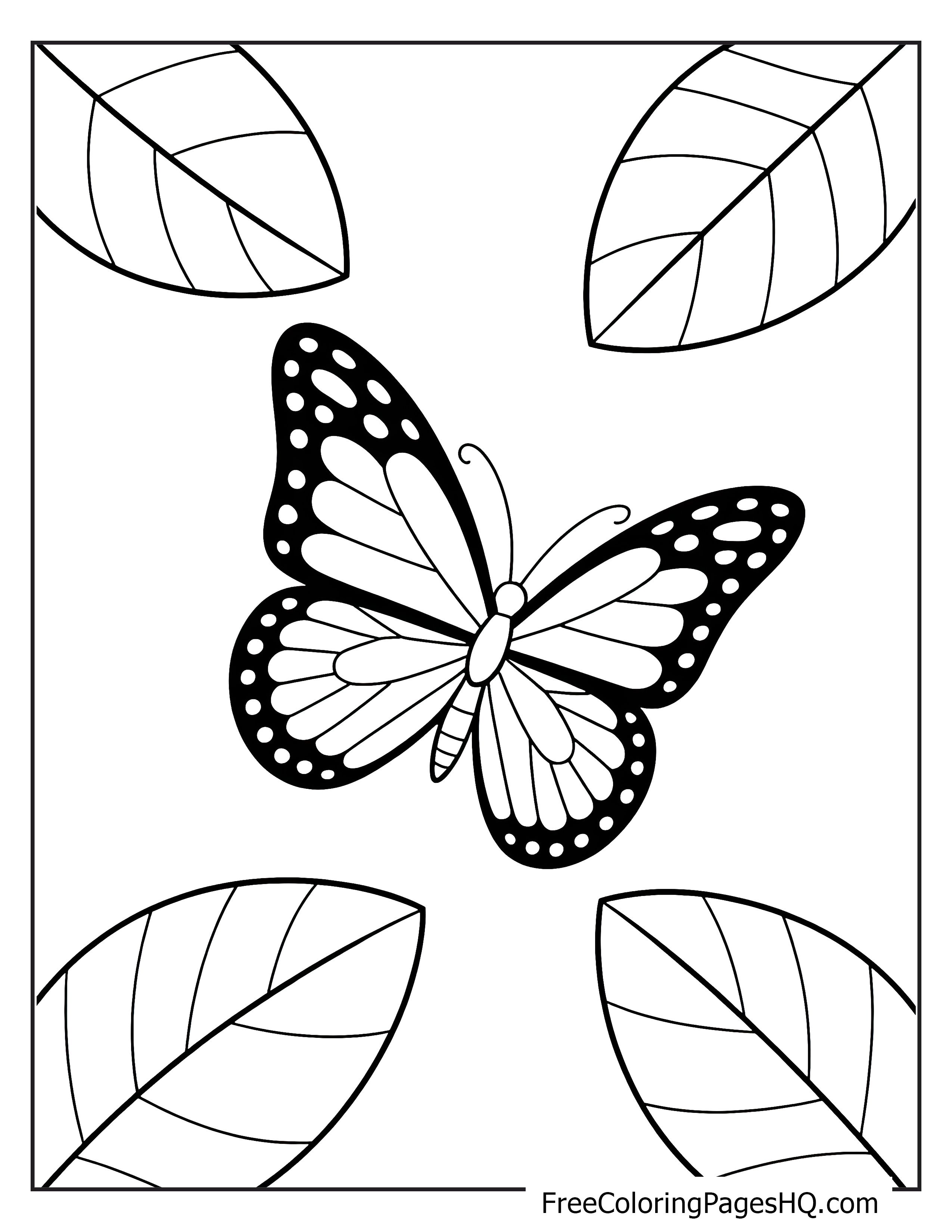 Butterfly with patterned wings and leaves illustration.