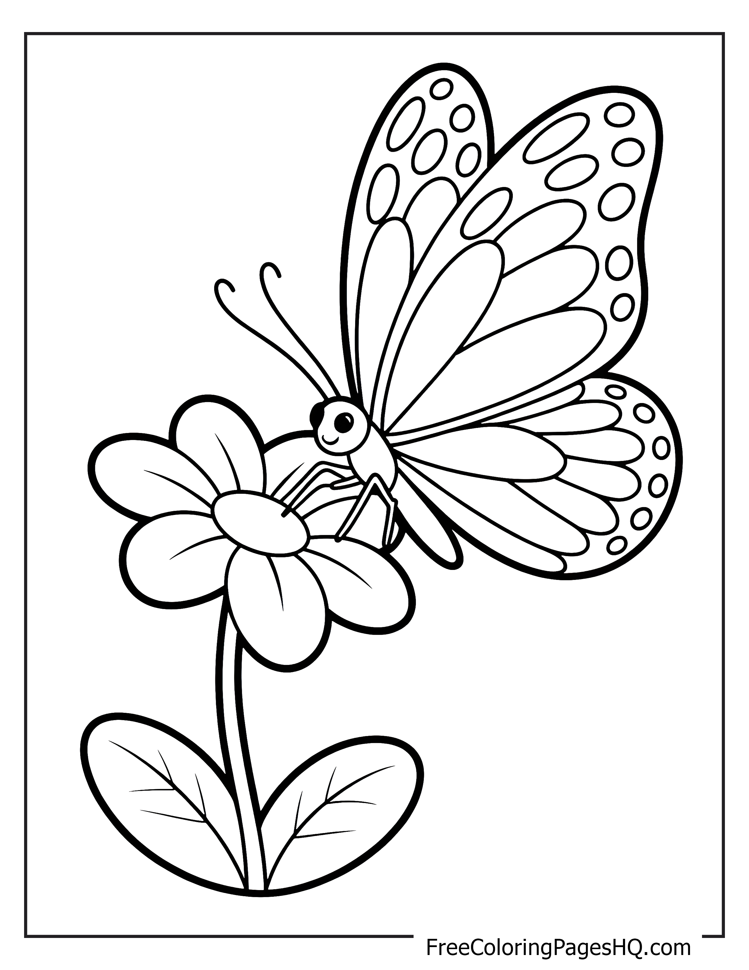 Butterfly perched on a flower with detailed wings.