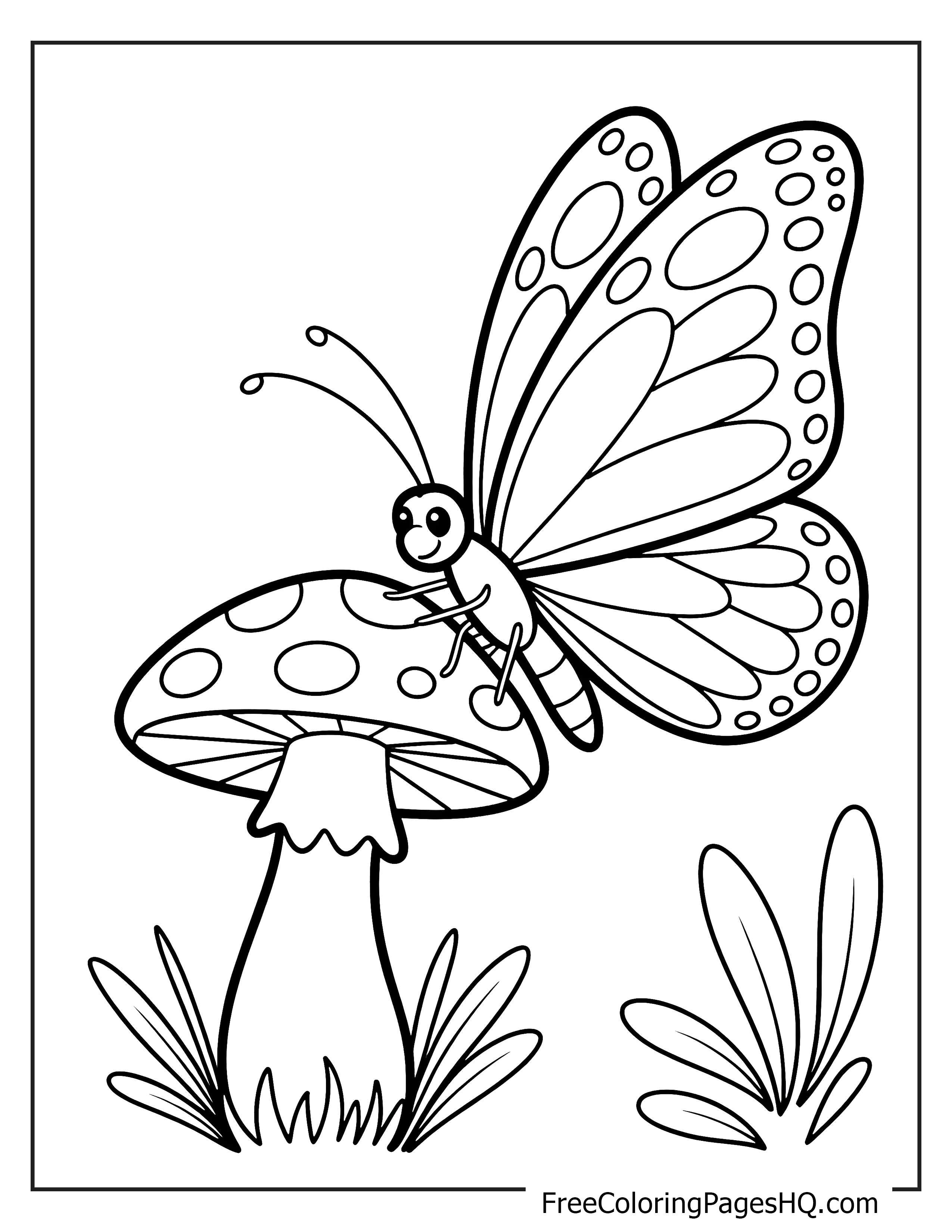 Butterfly perched on a mushroom with grass around.