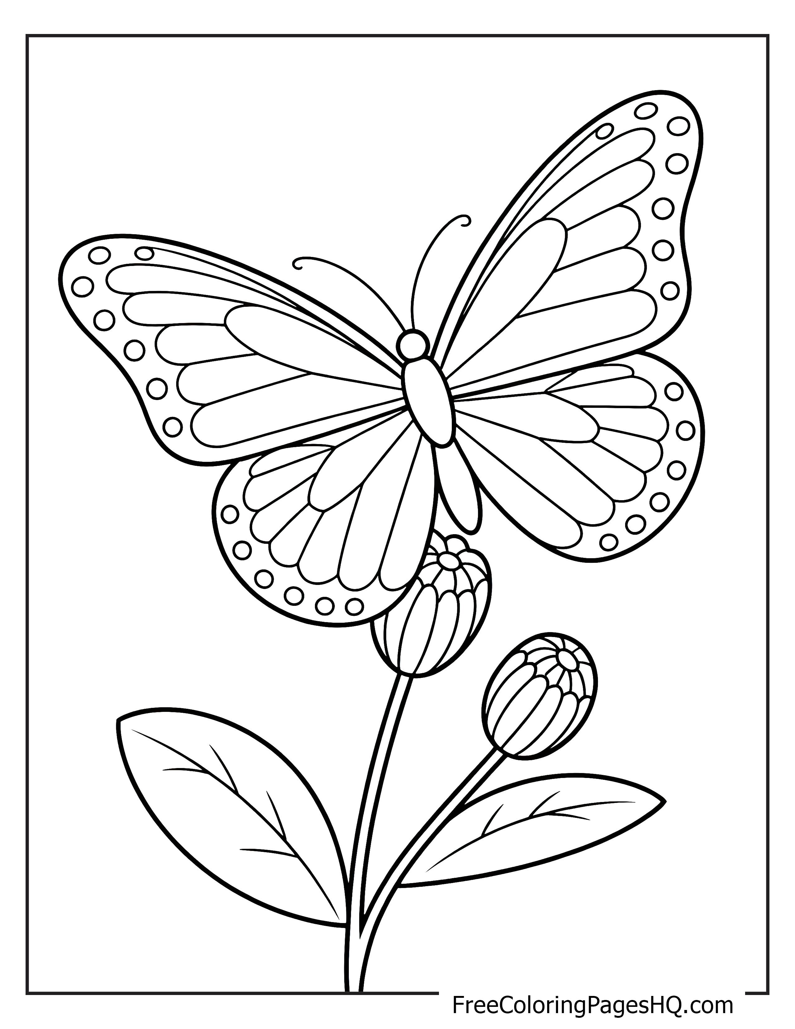 Butterfly perched on flower buds illustration for kids.