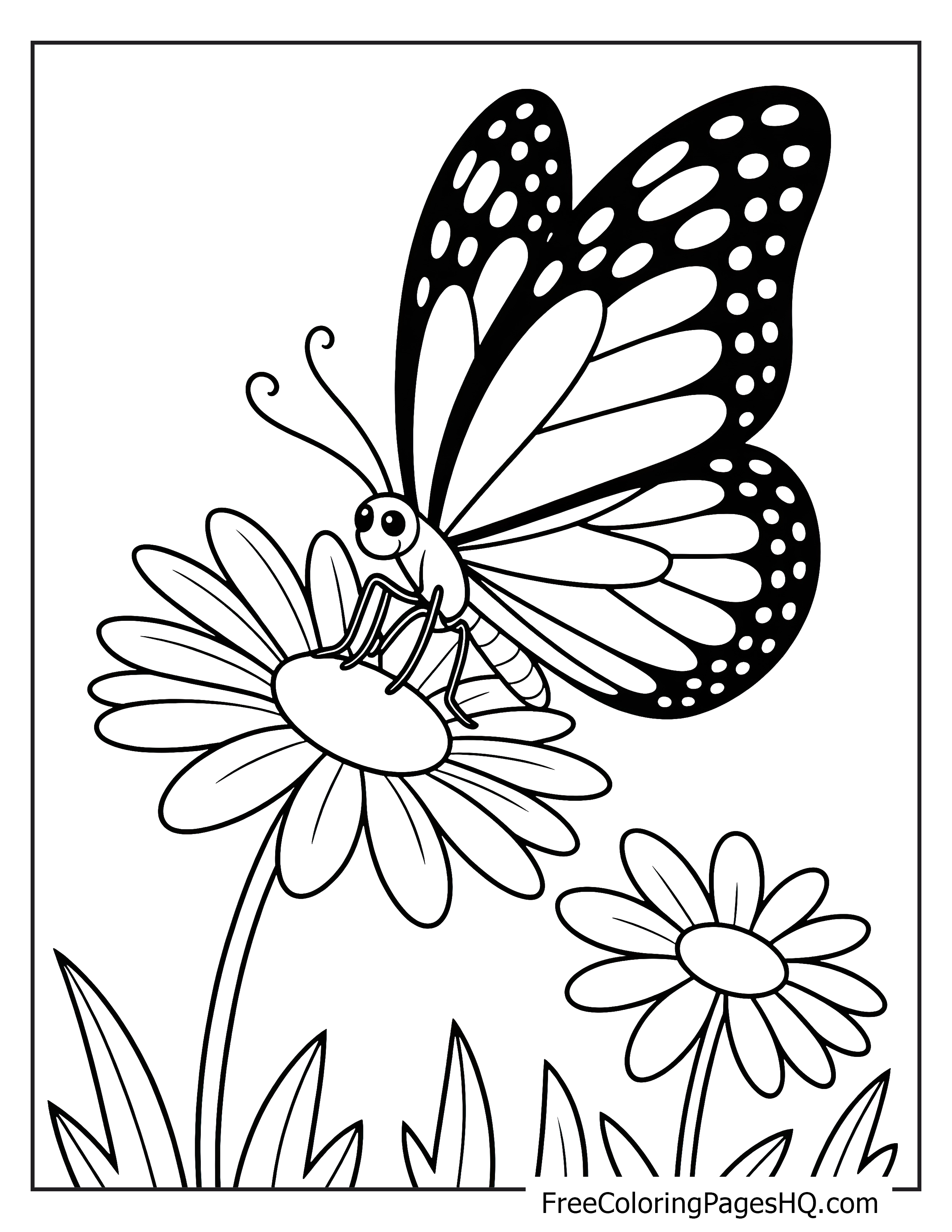 Butterfly sitting on daisies surrounded by grass.