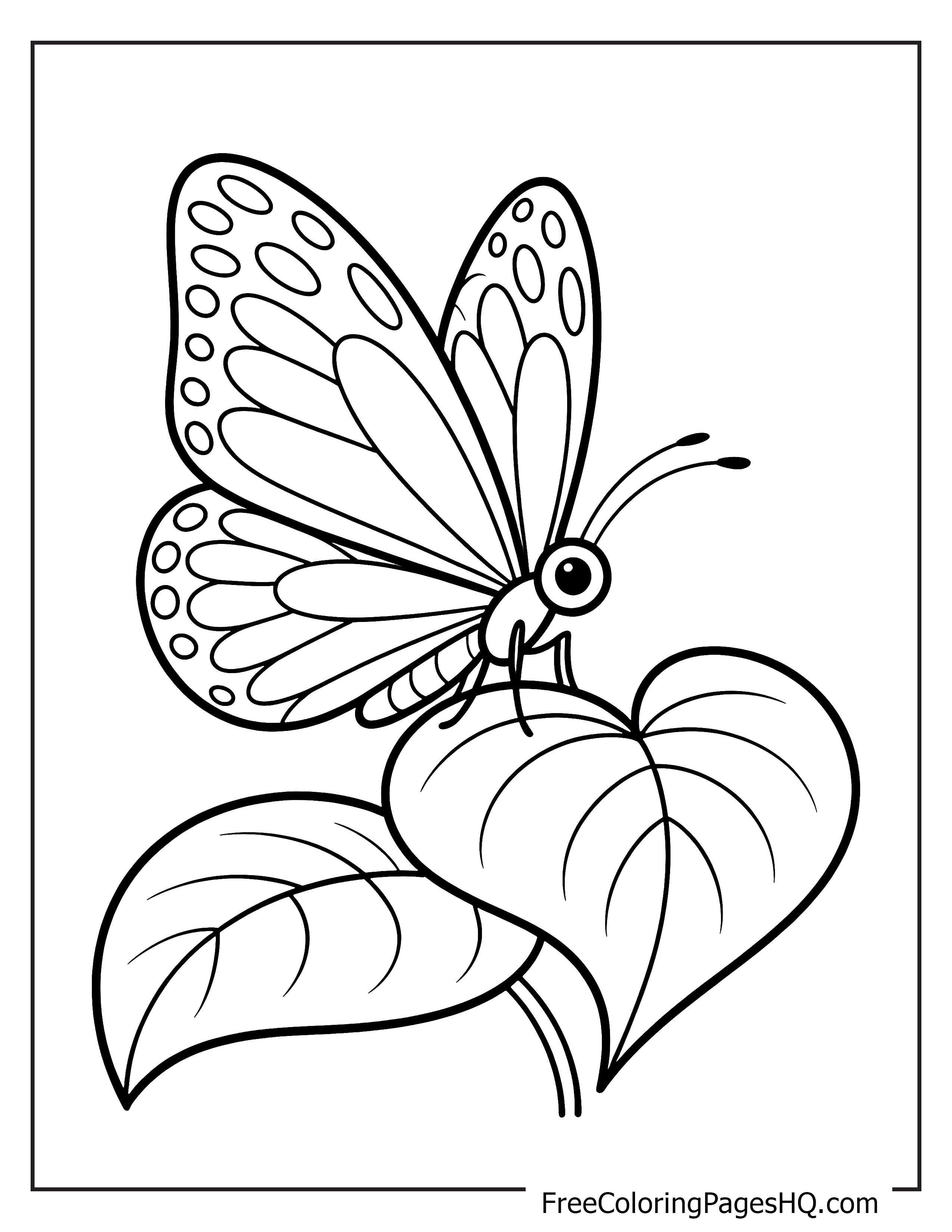 Butterfly perched on leaves illustration for kids.