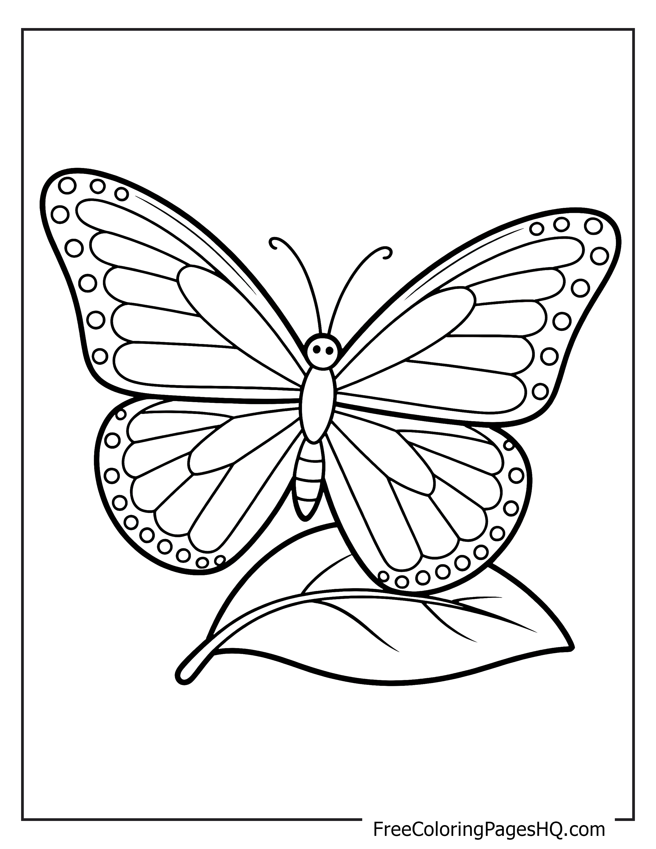 Illustration of a butterfly resting peacefully on a leaf.
