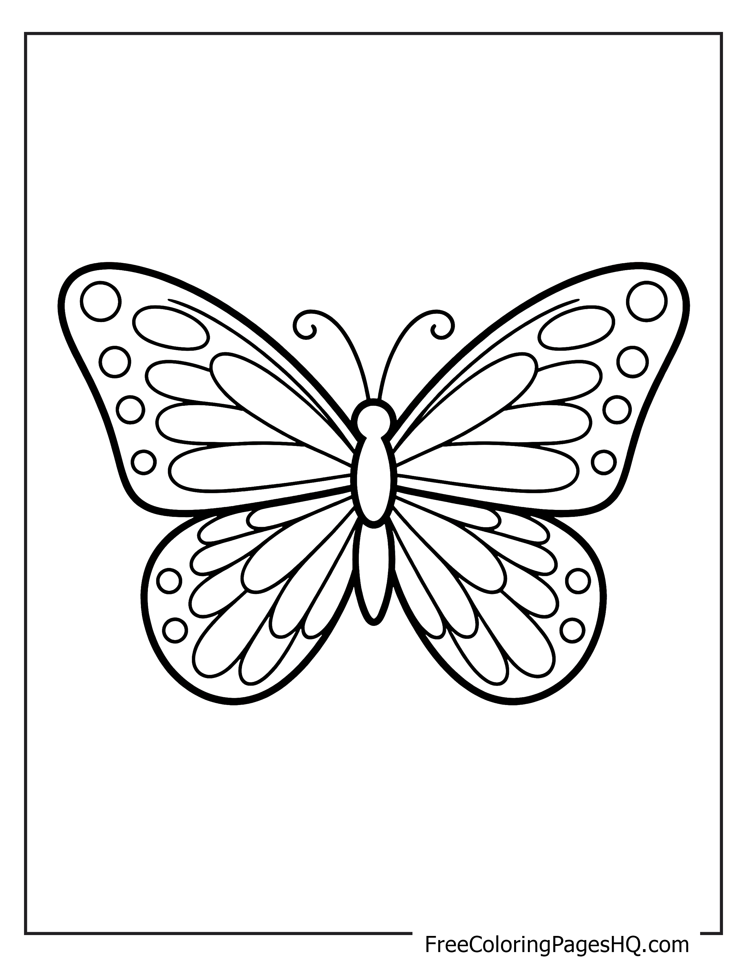 Illustration of a butterfly with fancy wing designs.