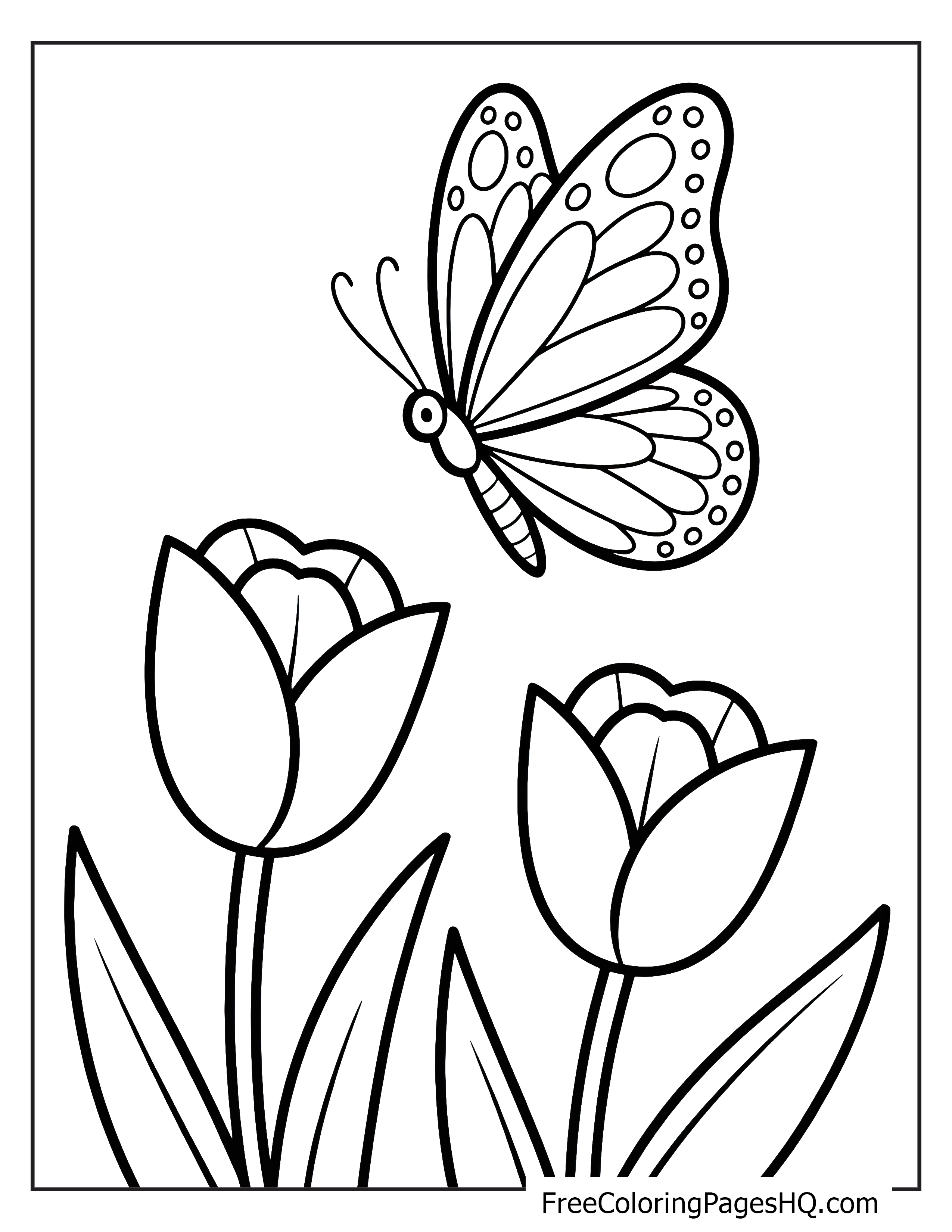 Butterfly and tulips illustration for kids.