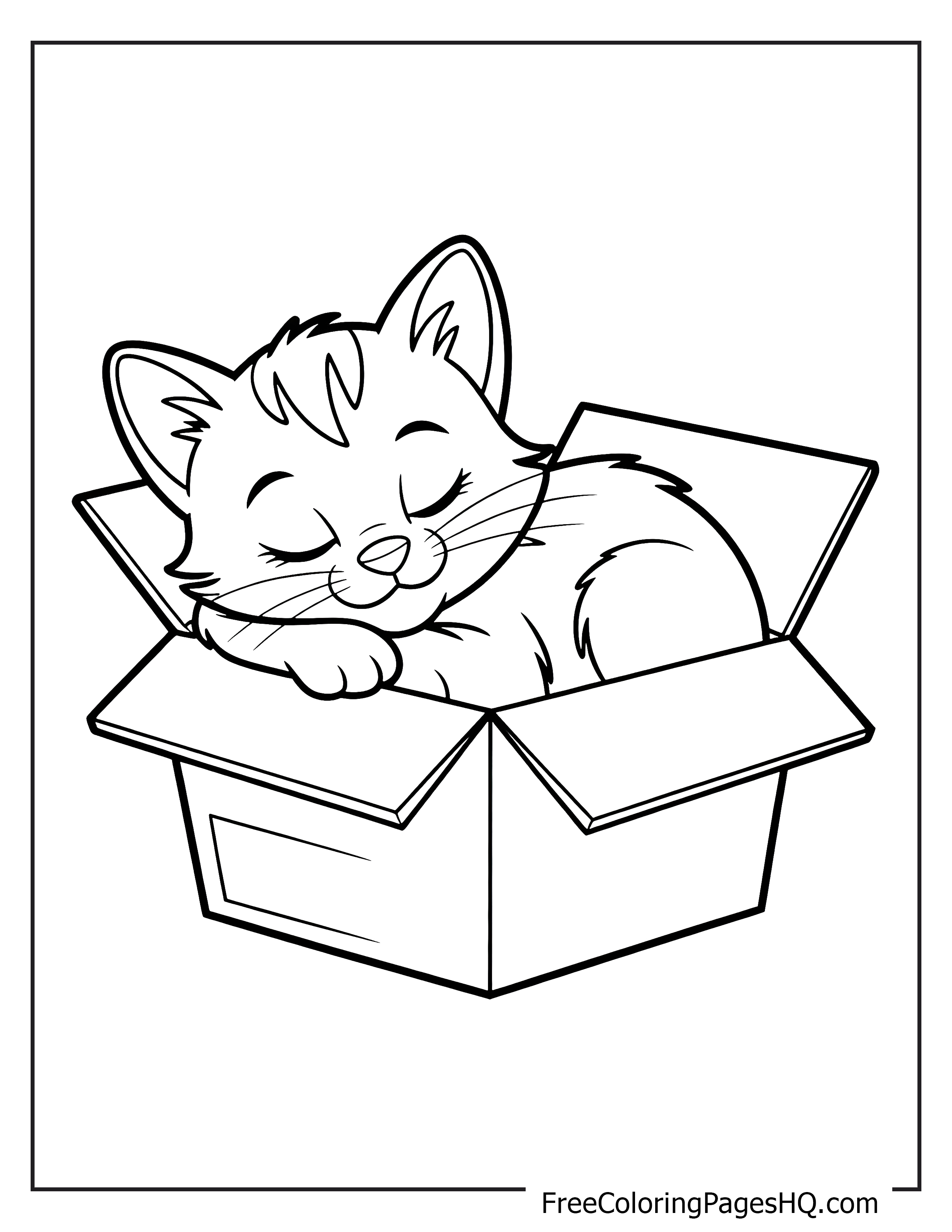 Kitten curled up in a box, peacefully napping.