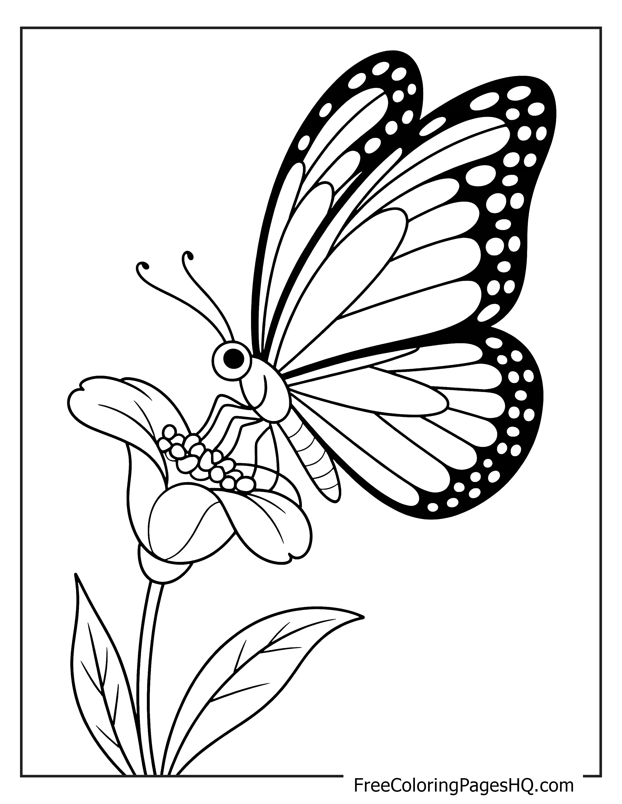 Butterfly and flower illustration for kids.