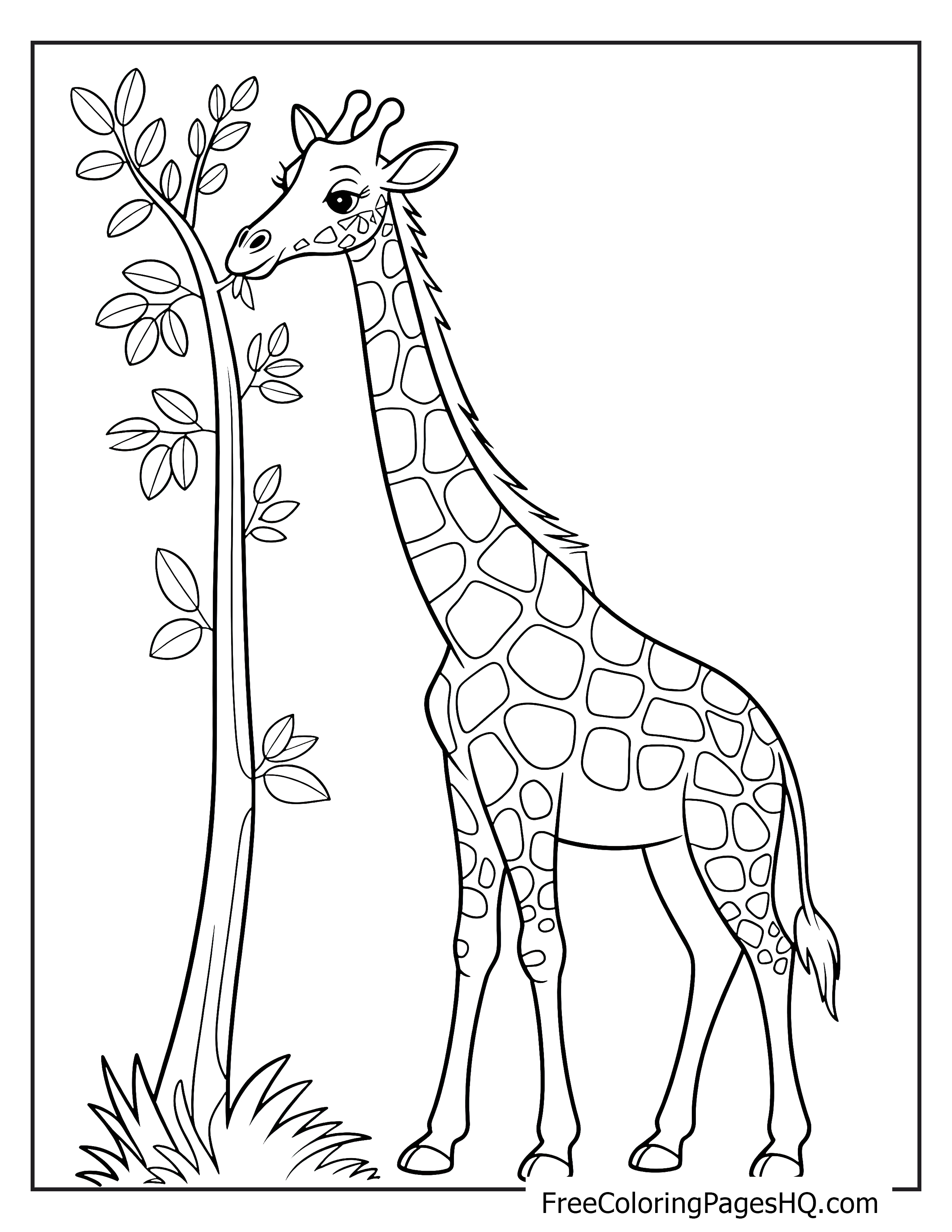A giraffe eating leaves from a tall tree.