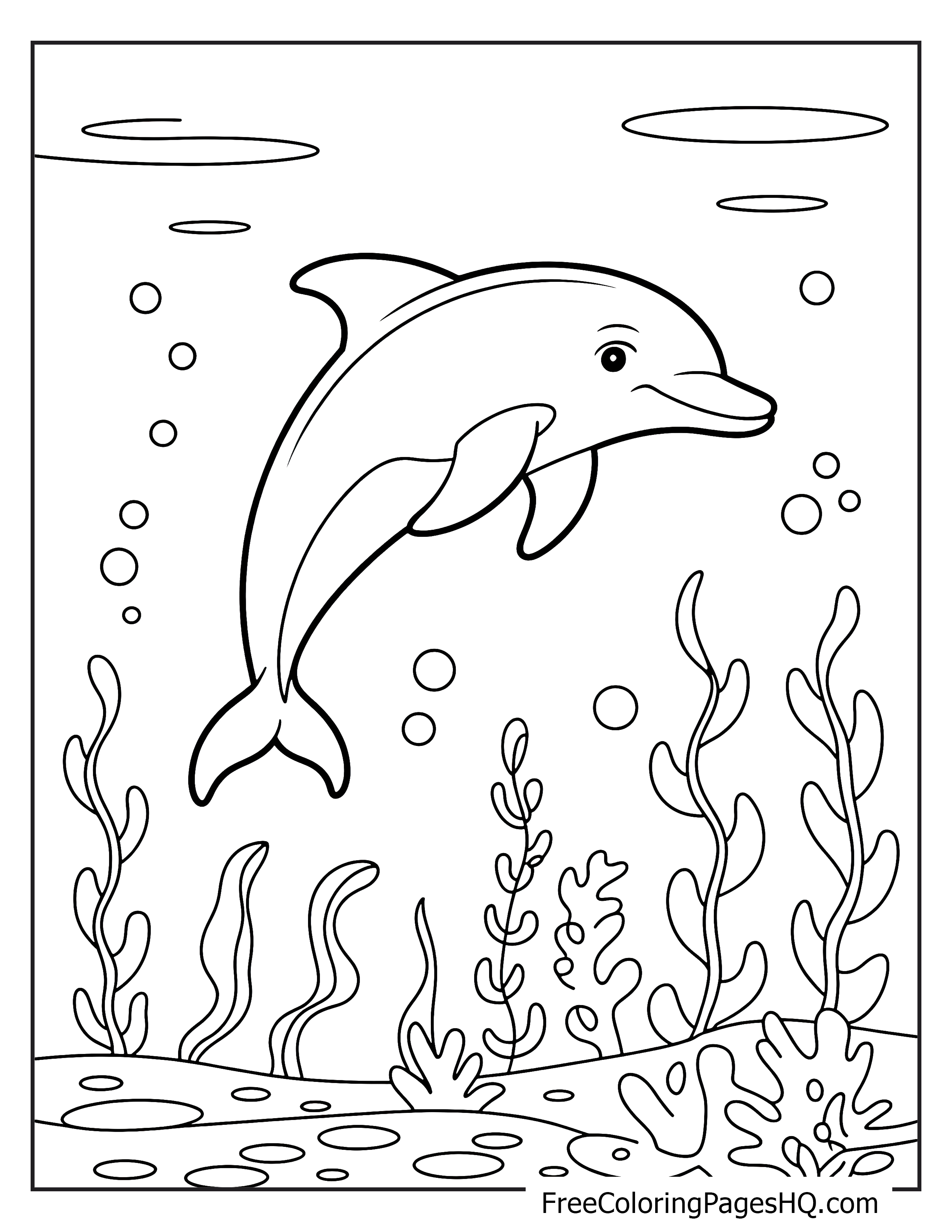 Dolphin swimming with bubbles and sea plants underwater.