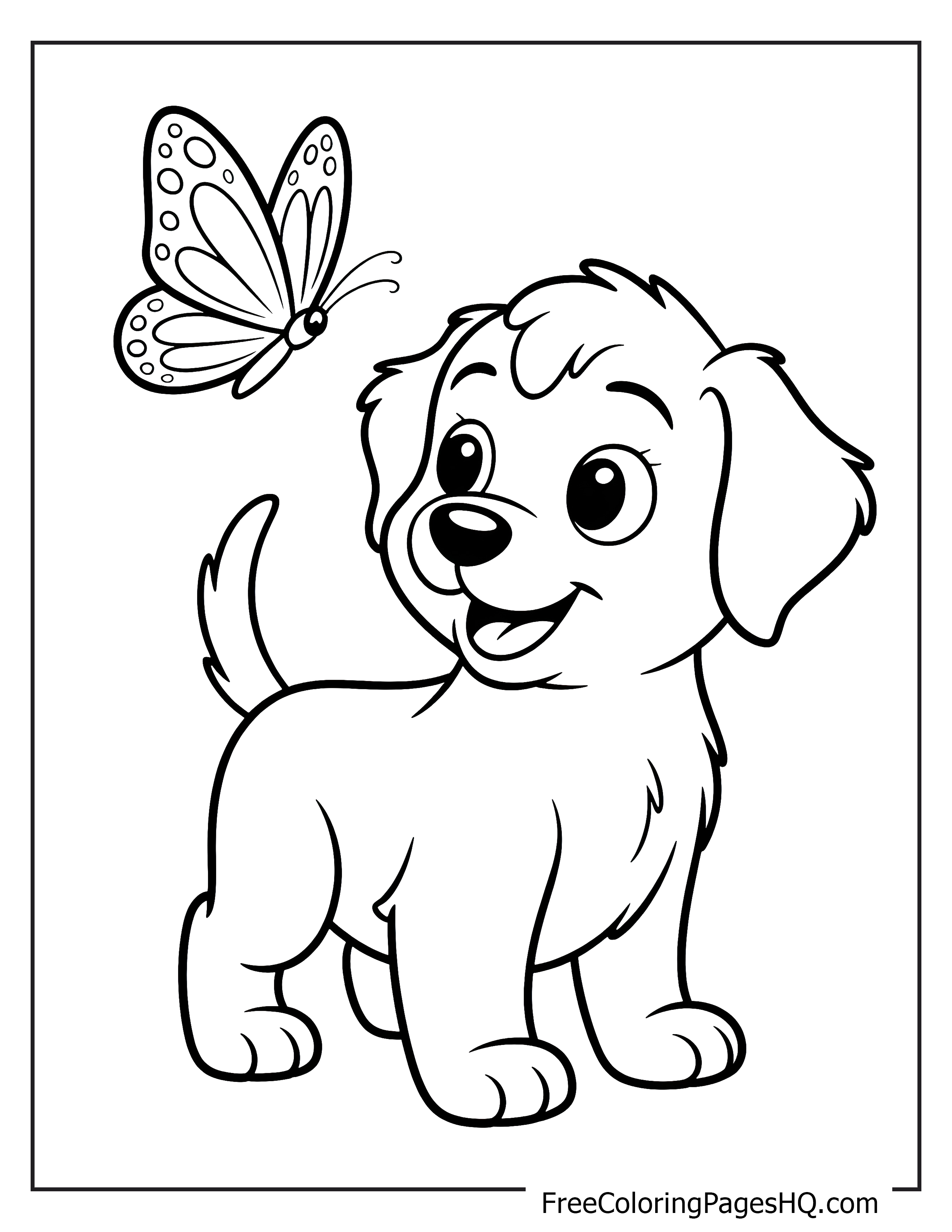 Smiling puppy with a butterfly above.