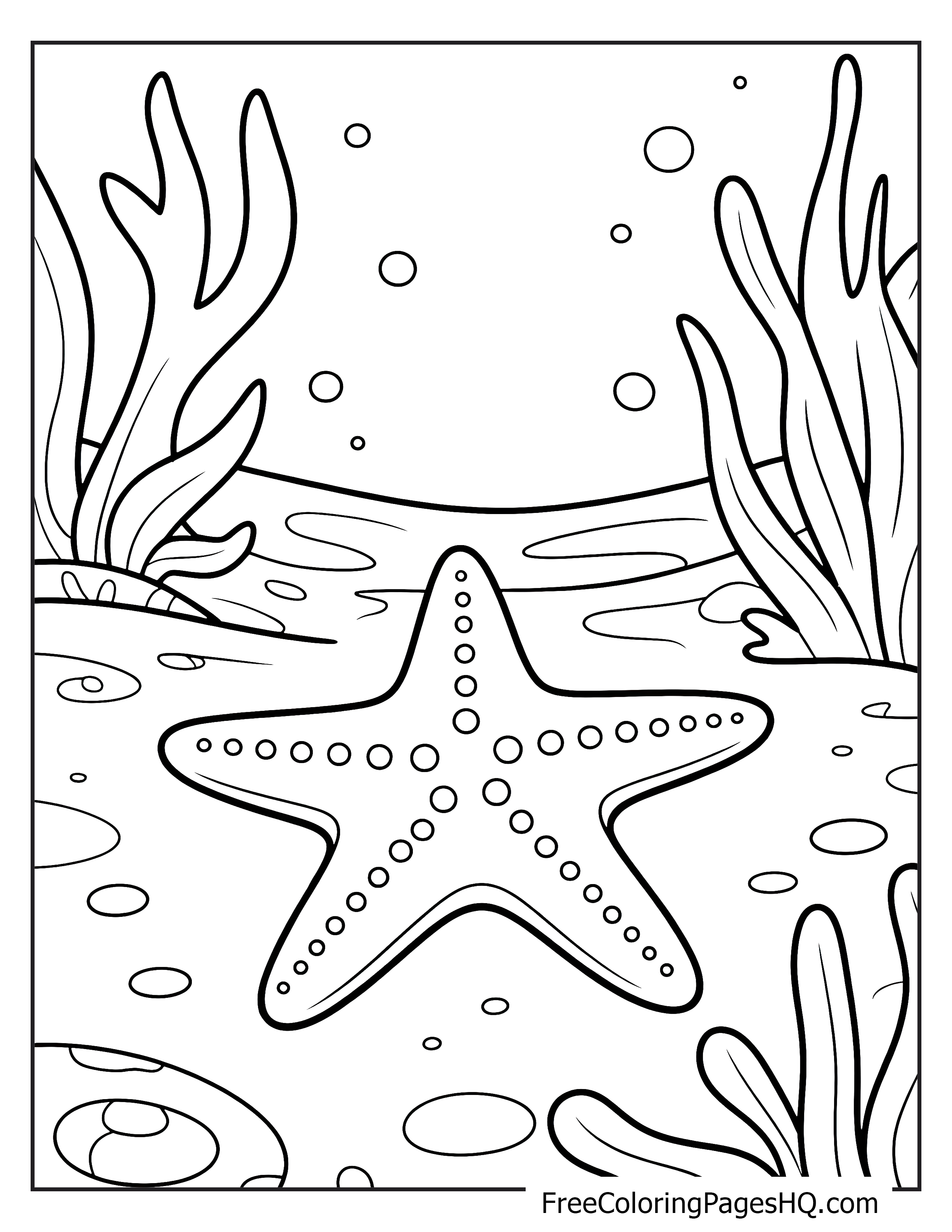 A starfish lies on the ocean floor, surrounded by seaweed and bubbles.