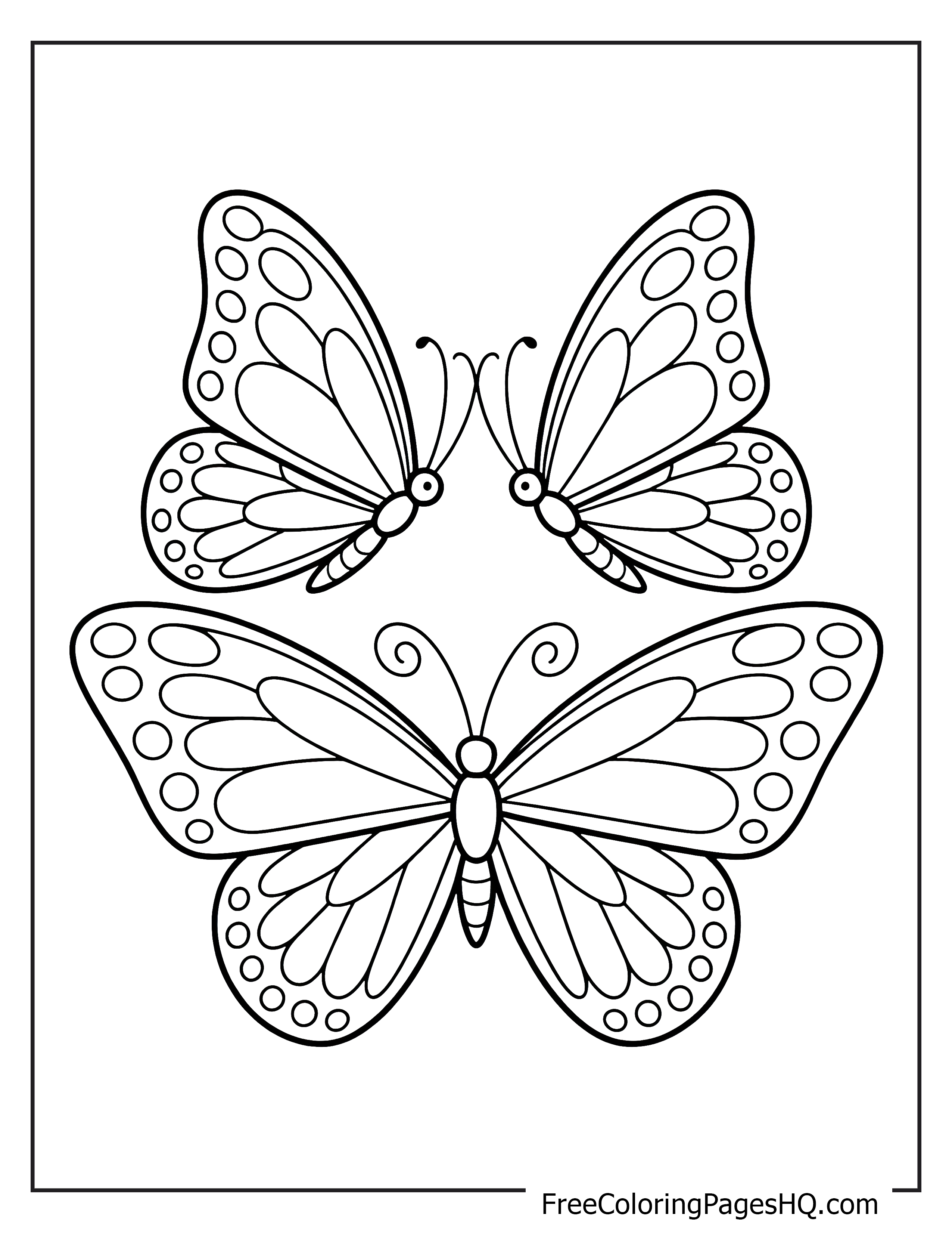 Illustration of three beautifully designed butterflies.