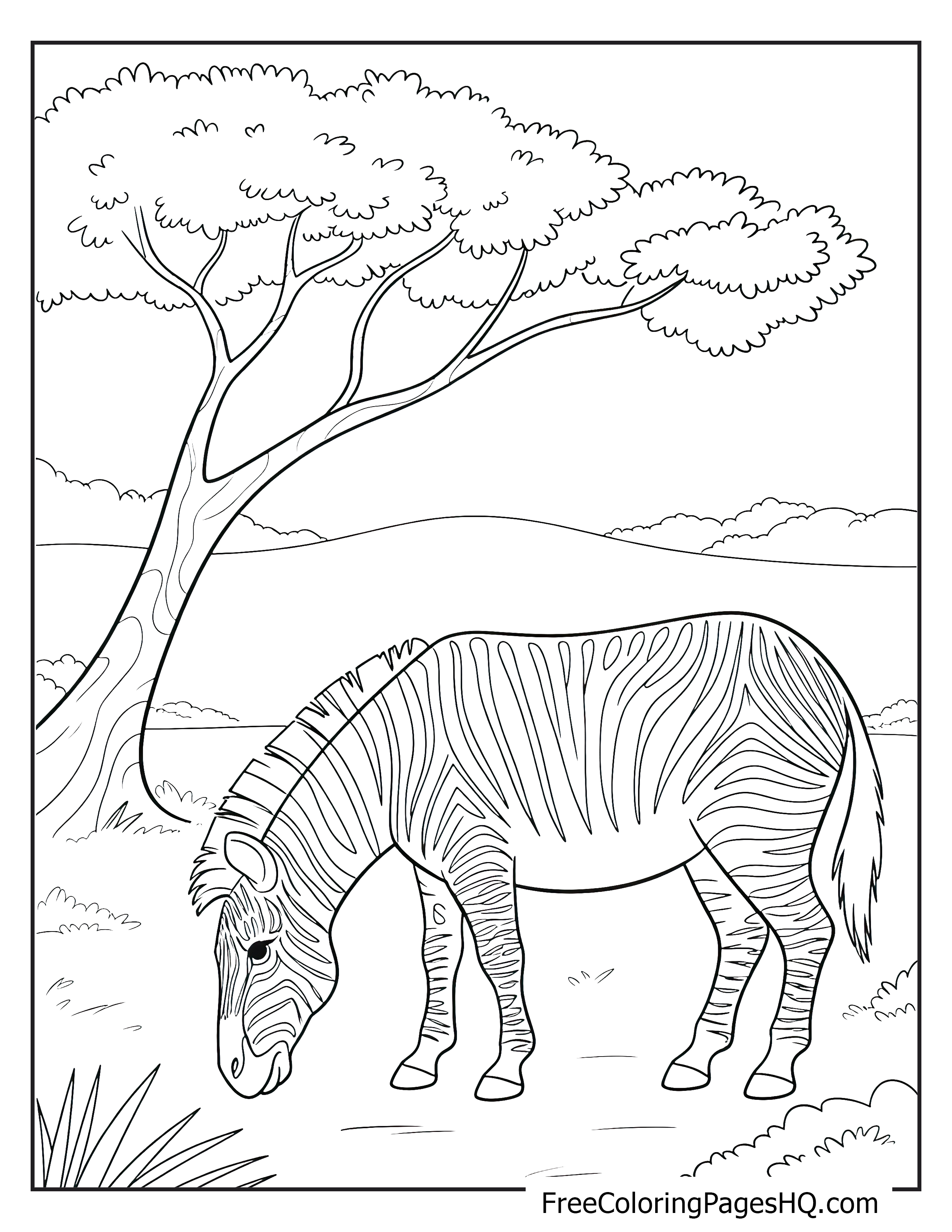 Zebra grazing under a tree in a grassy field.