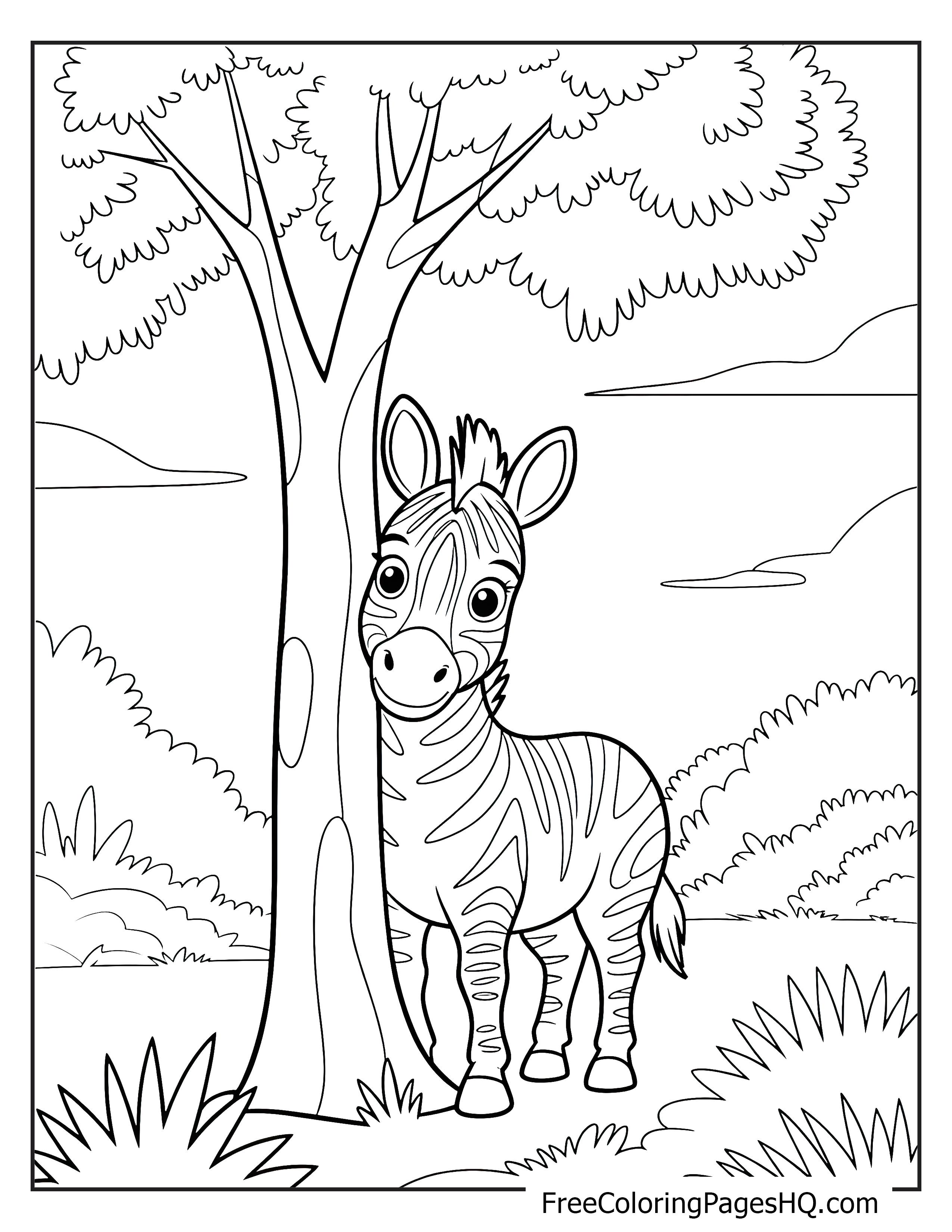 Zebra peeking from behind a tree in a savanna setting.