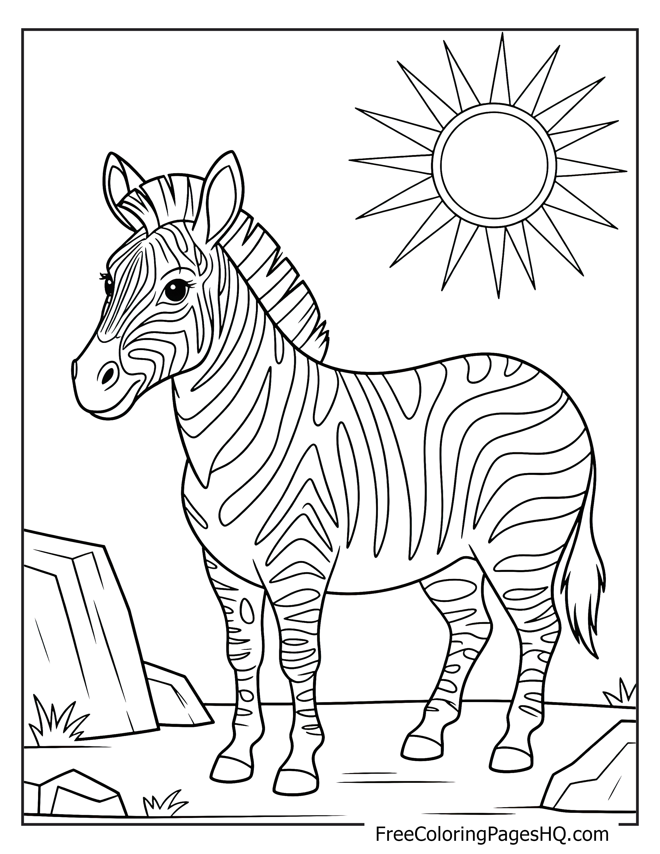 A zebra stands in a field with the sun shining and rocks nearby.